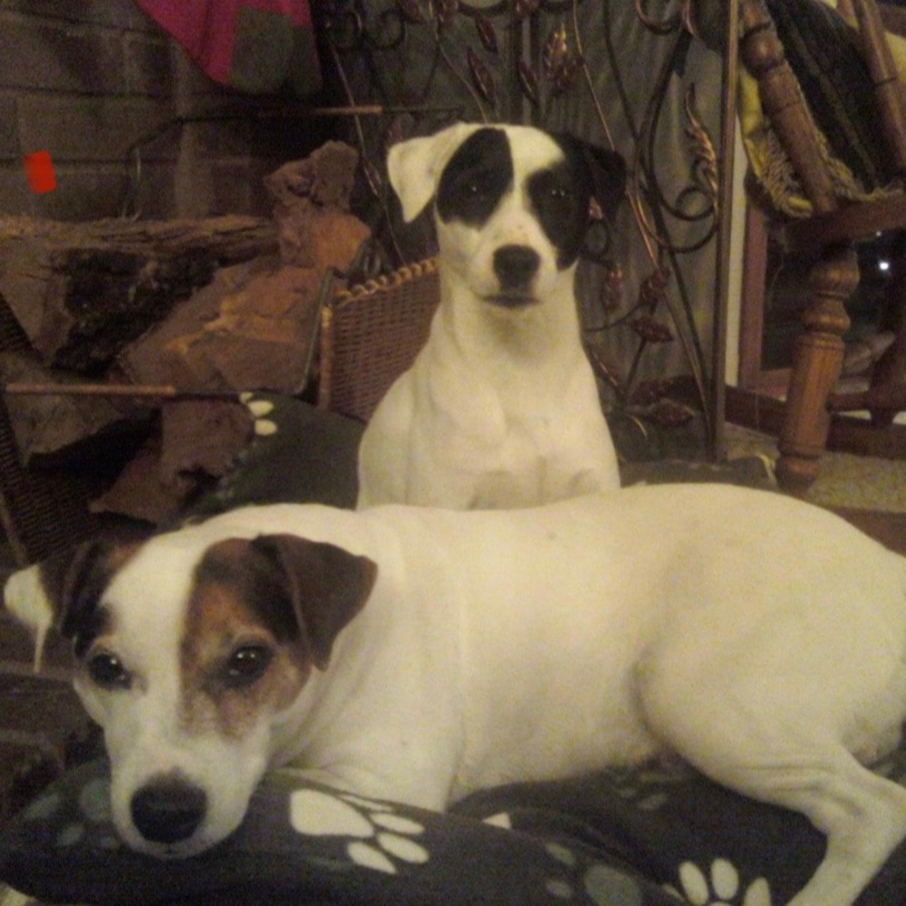 Meet your Posher, Janel